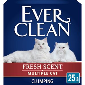 Ever Clean Multi-Cat Clumping Cat Litter  Fresh Scent  25 Pounds  Pack of 1