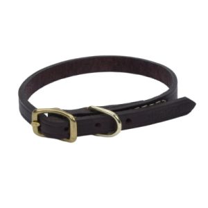 COASTAL PET PRODUCTS, INC. 2203B 10 LATIGO 3/8 ROUND COLLAR