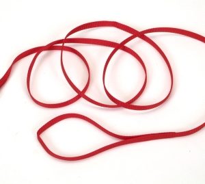 Coastal Pet Products Single-Ply Nylon Dog Leash Red 3/8  x 72