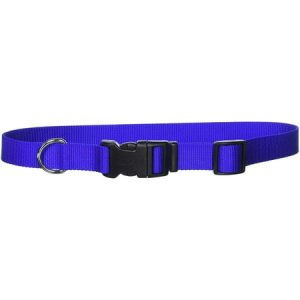 Coastal Pet Products 1-Inch Nylon Adjustable Dog Collar  Large  Blue