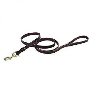 coastal pet products circle t leather twist dog leash with solid brass hardware, 3/4 x 6', latigo