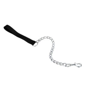 Coastal Pet Products Titan 05507 BLK02 4 mm Nylon Chain Dog Leash with Handle, X-Heavy, 2 feet, Black