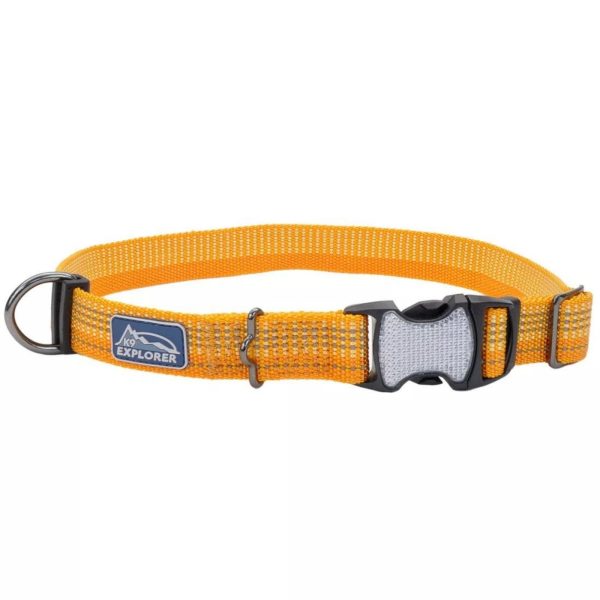 076484364747 K9 Explorer Brights Reflective Adjustable Dog Collar, Desert - Small - 0.625 x 10- 14 in.