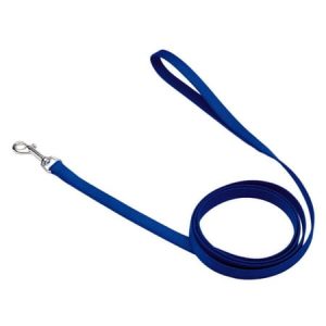 Coastal Pet Nylon Lead - Blue - 6  Long X 5/8  Wide