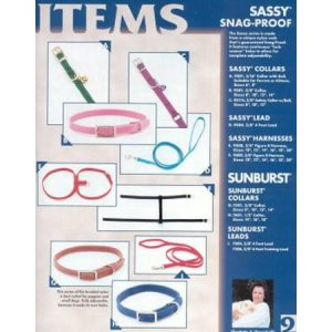Coastal Pet Sassy Snag-Proof Nylon Cat Safety Collar (Red 8  L X 3/8  W) (Pack of 1)