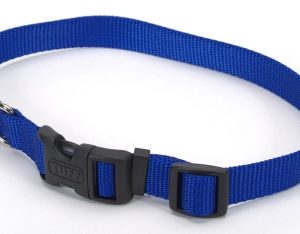 Animal Supply Company CO69702 1 in. Adjustable Nylon Collar  Blue - 20 in.